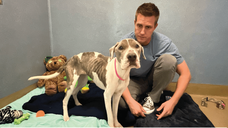 The Dog Who Changed Me: Valerie